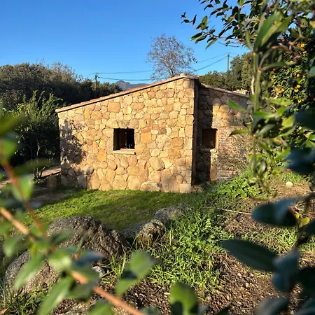 Bergerie Caseddu U Chjassu