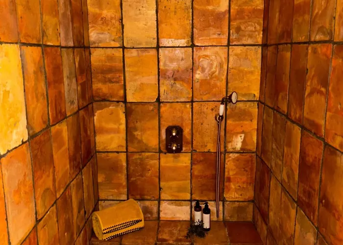 Bergerie Caseddu U Chjassu Ferienhaus Viggianello