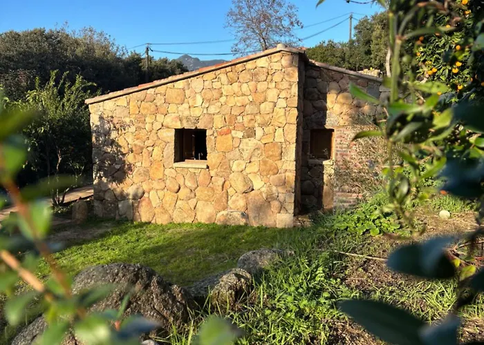 Bergerie Caseddu U Chjassu